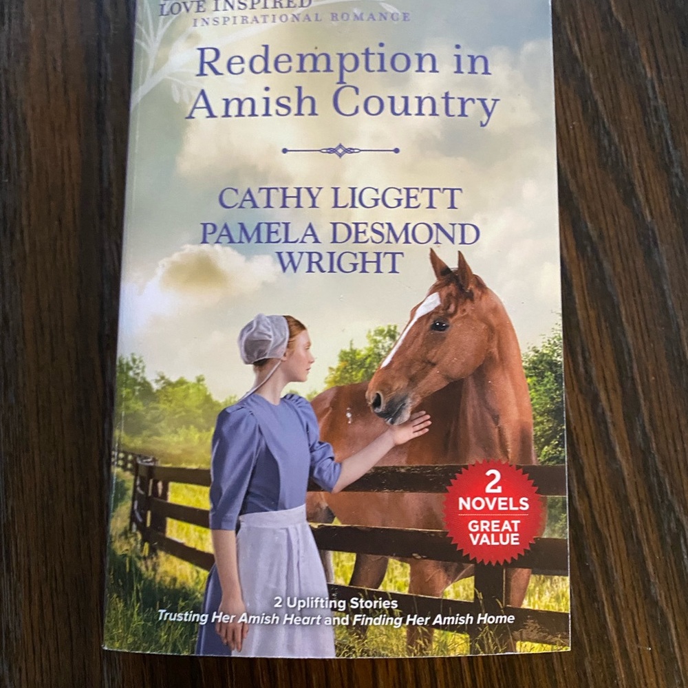 Redemption in Amish Country Book